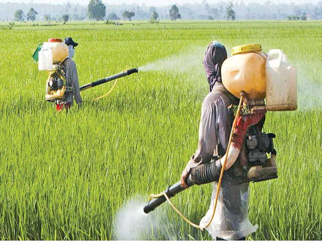 Farmer will get 30 q fertilizer
