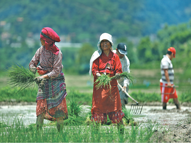 Agriculture