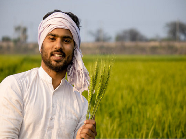 Government has started rice procurement