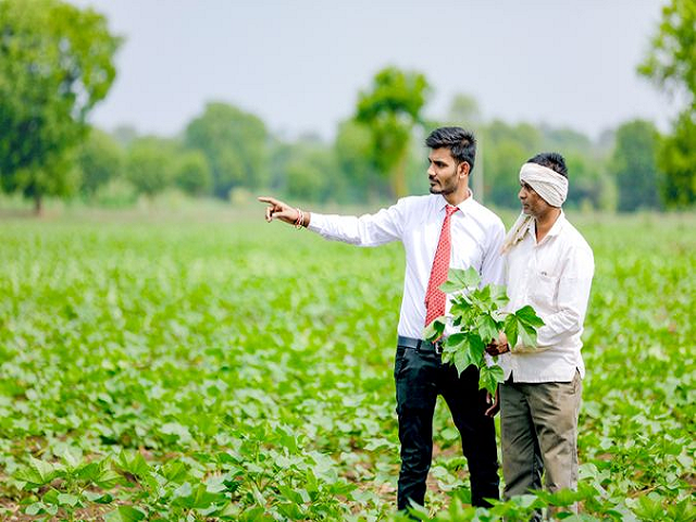 Agriculture