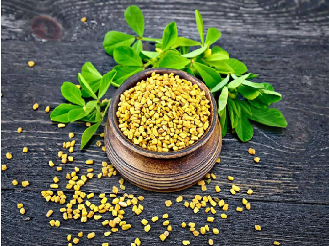 Fenugreek