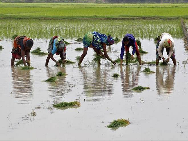 farmers are facing extreme losses