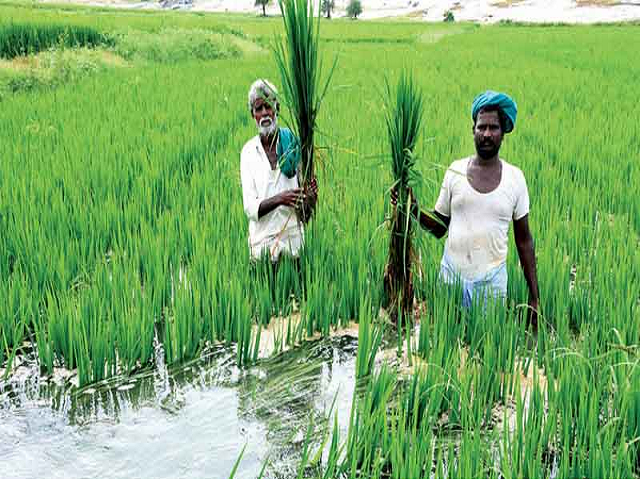Agriculture