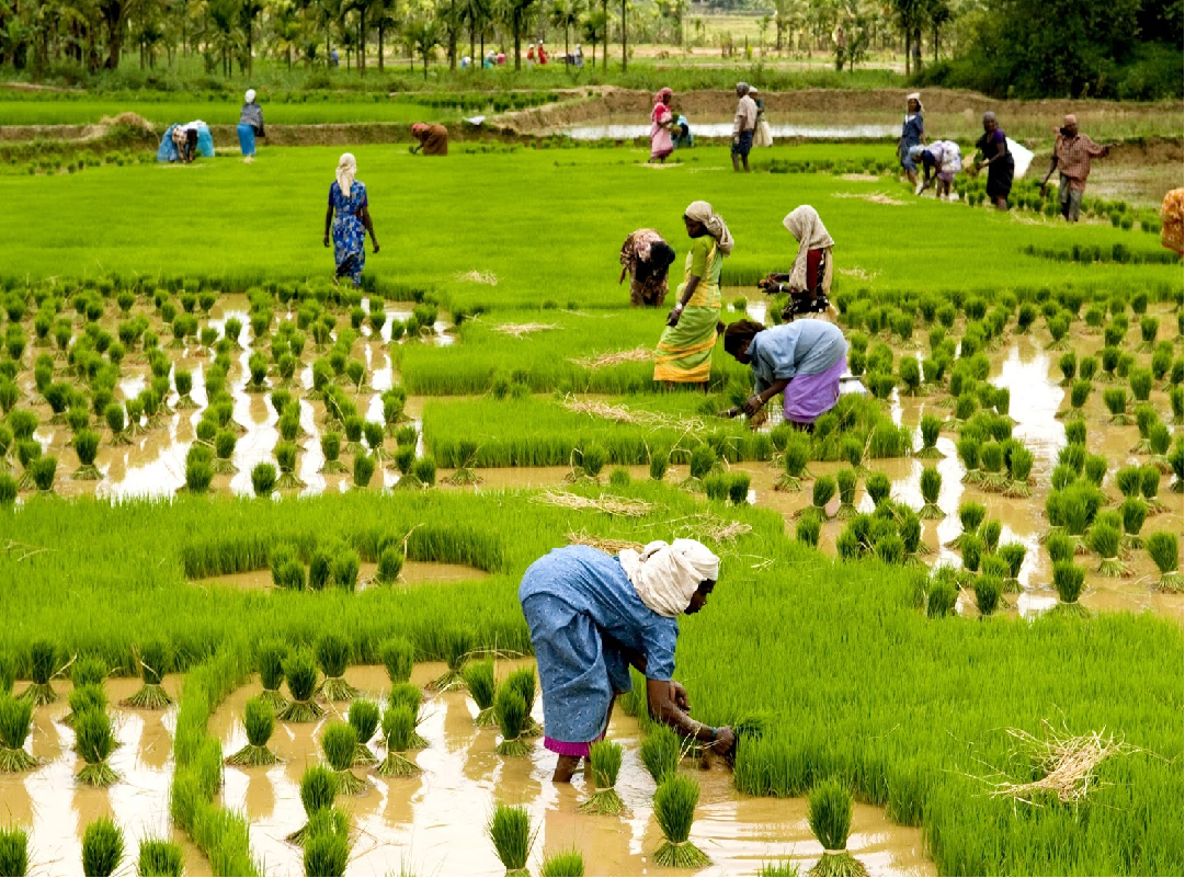 Govt scheme for farmers