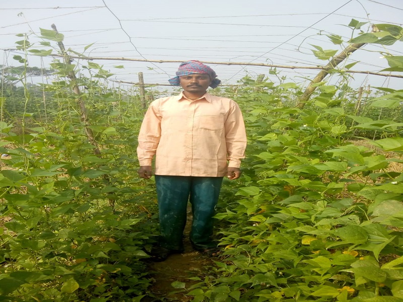 Success story of WB farmer