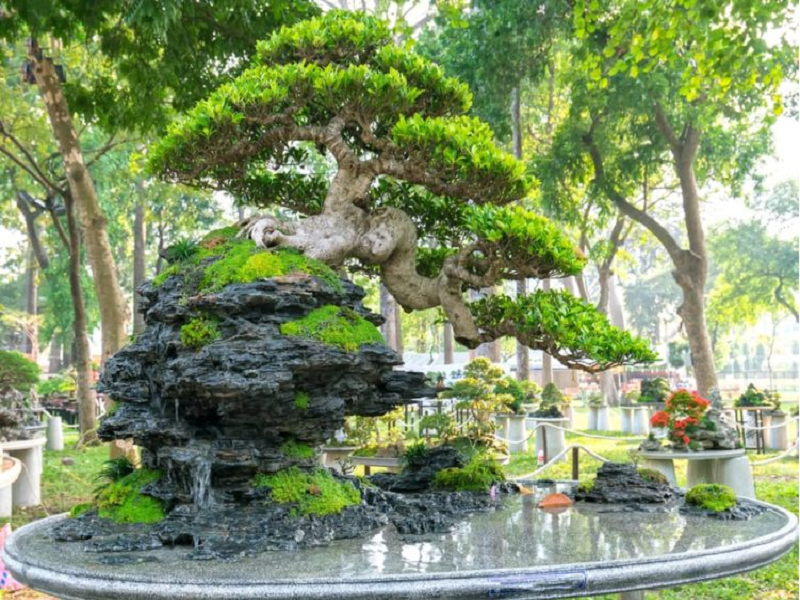 Way to make Bonsai