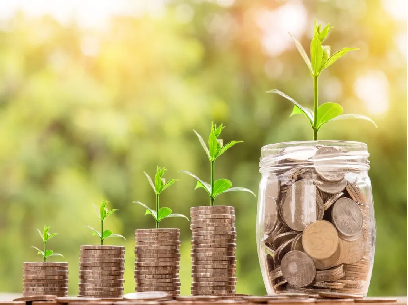 Earn Easily In Agribusiness