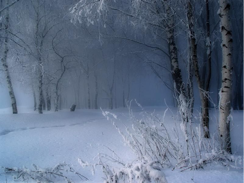 IMD WEATHER NEWS