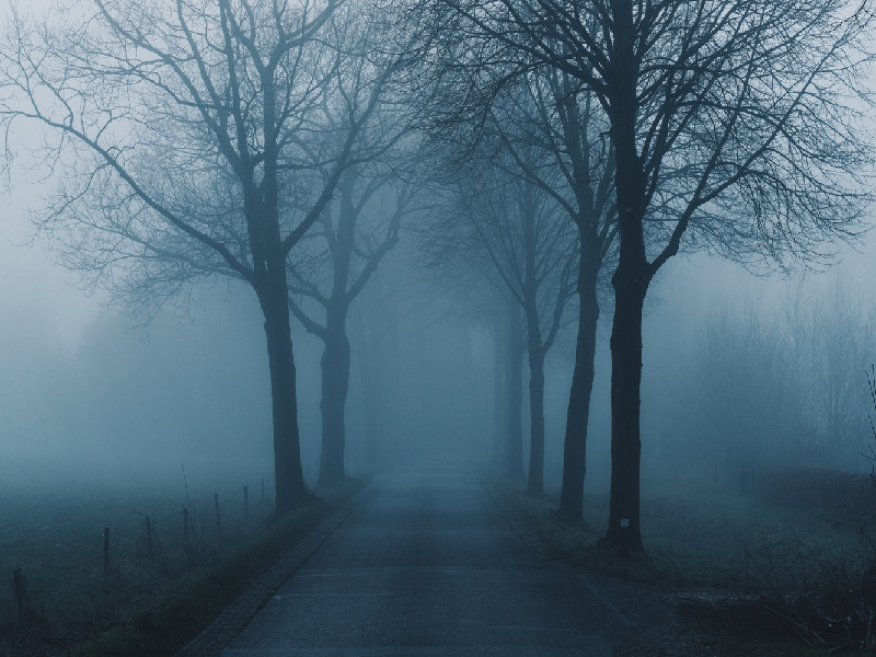 Weather Forecast- Dense Fog, Increasing Cold Wave