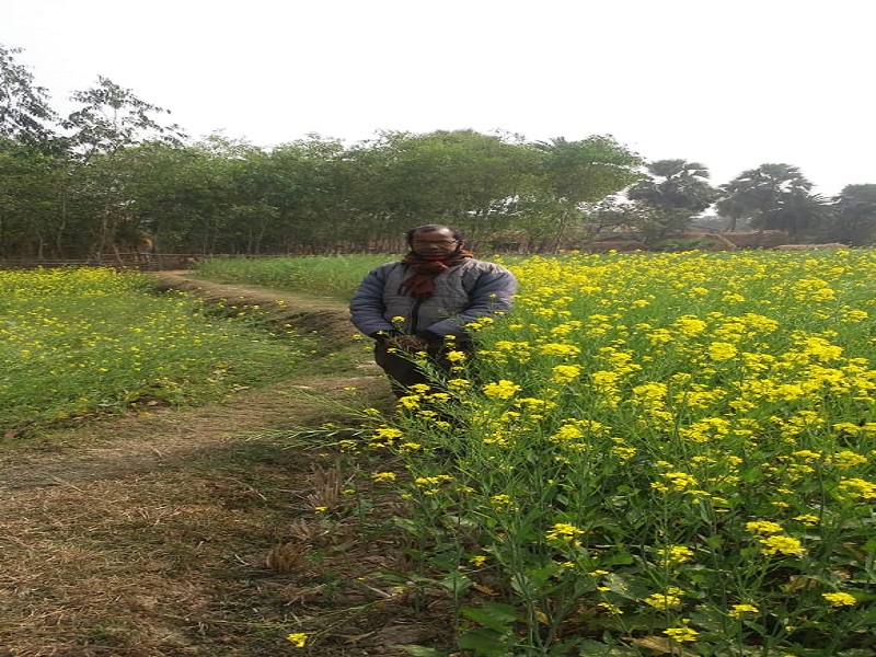 Reliance Foundation Helps Farmer To Their Success