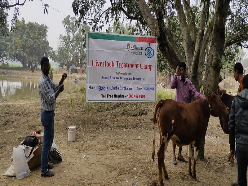Animal Health Camp- Reliance Foundation