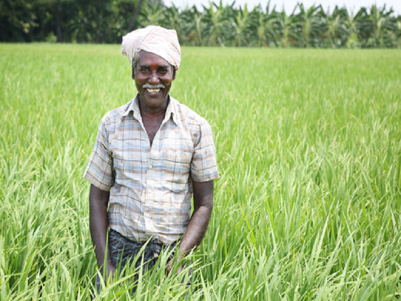 Andhra Pradesh won PM Kisan National Award