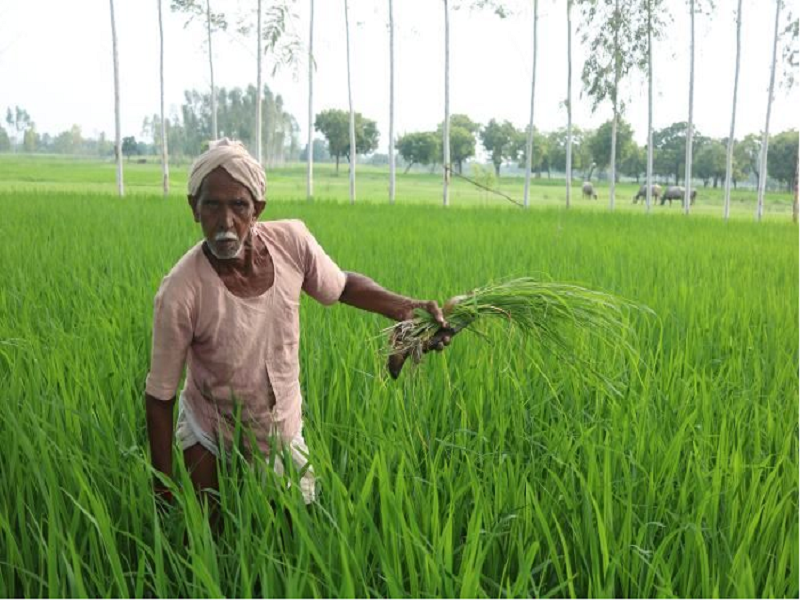 PM KISAN - Scheme For Farmers