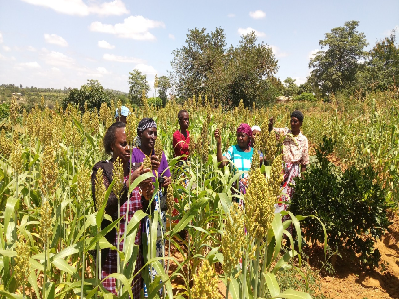 Crop Cultivation guidance for farmers