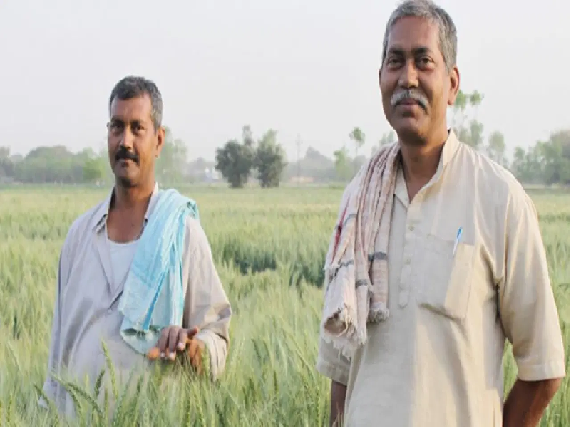 PM Kisan - Govt Scheme