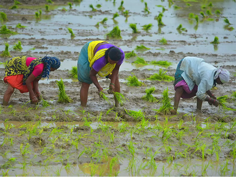 Scheme For Farmers