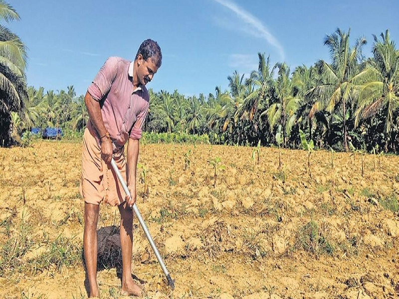 Fallow land farming